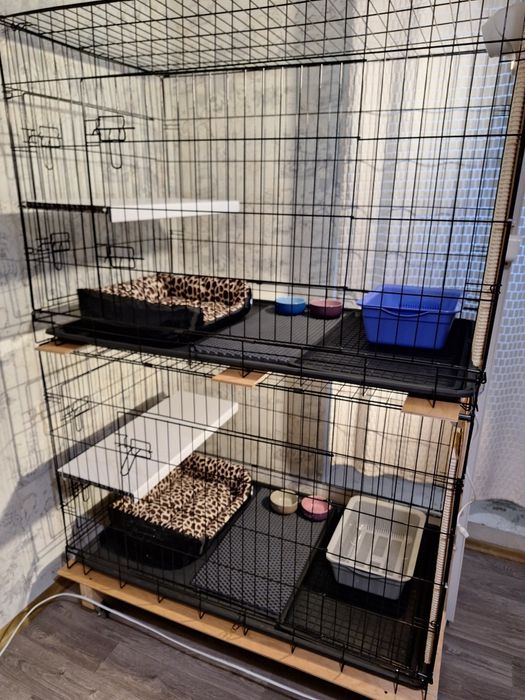 Передержка гостиница животных 24 / 7 г. Киев перетримка от 75 грн