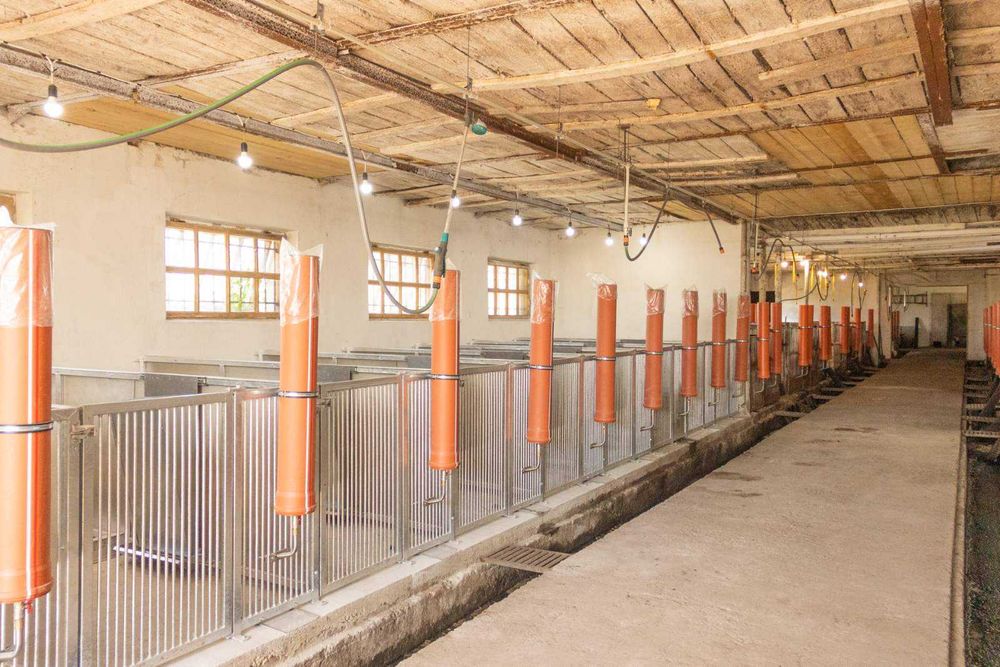 Продаж ферми з підсобними приміщеннями