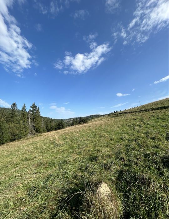 Земельна ділянка в гірськолижному селі Пилипець