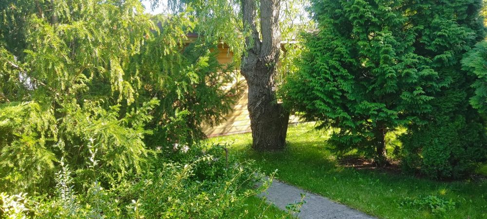 Działka rekreacyjna ROD Relaks Szałe