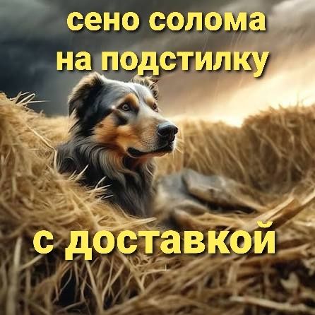 Собакам в будку сіно сено солома в тюках в мешках