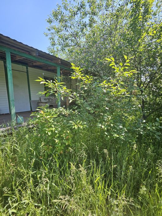 Земельна ділянка 5,5 соток 7000$