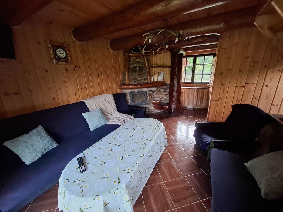 domek, pokoje do wynajęcia, sauna, jacuzzi, pstrąg