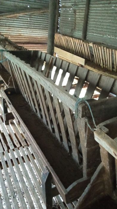 Comedores de feno para ovelhas ou cabras