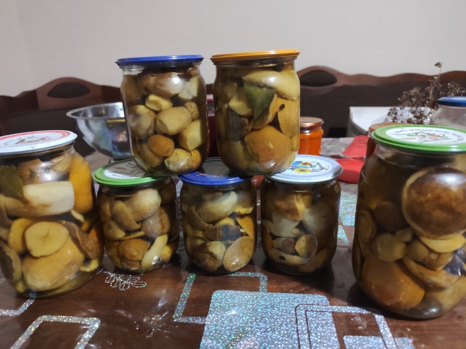 Мариновані гриби