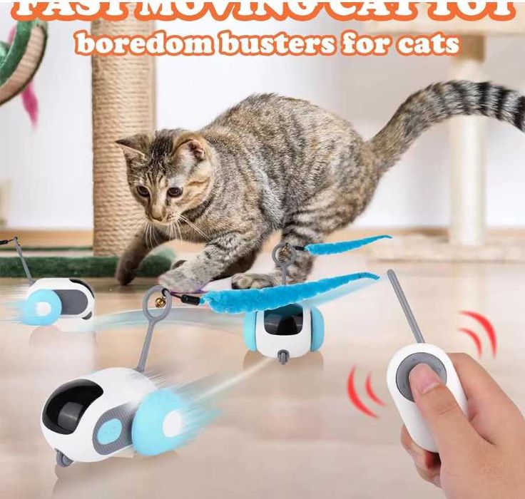 Машинка для котів і собак на пульті керування (USB, 2 режими, пульт)