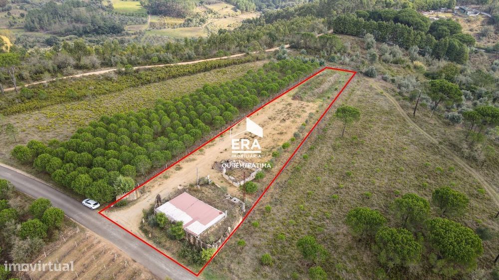 Terreno Rústico localizado no Olival, Ourém