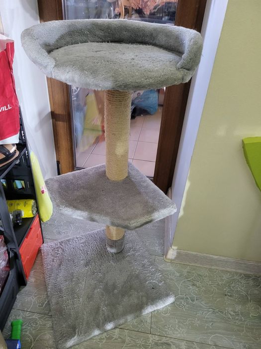 Когтеточка большая