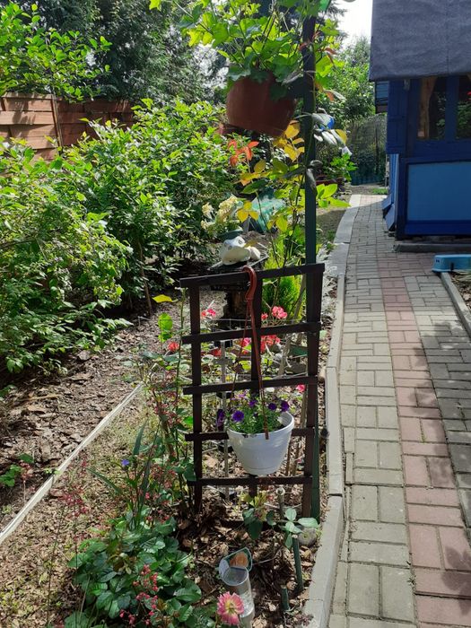 Dzialka ROD ul Ornecka - Widok 2