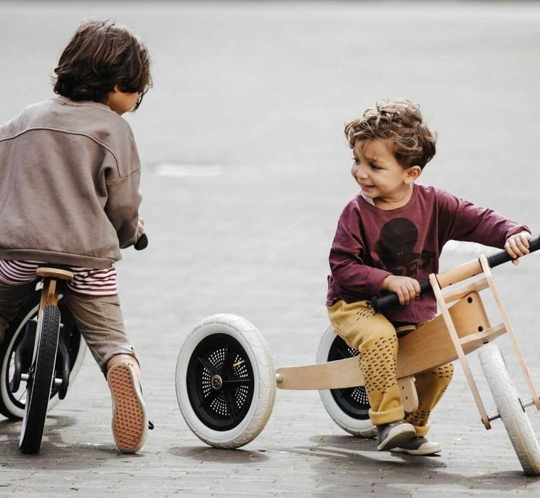 Bicicleta sem pedais / Wishbone balance bike