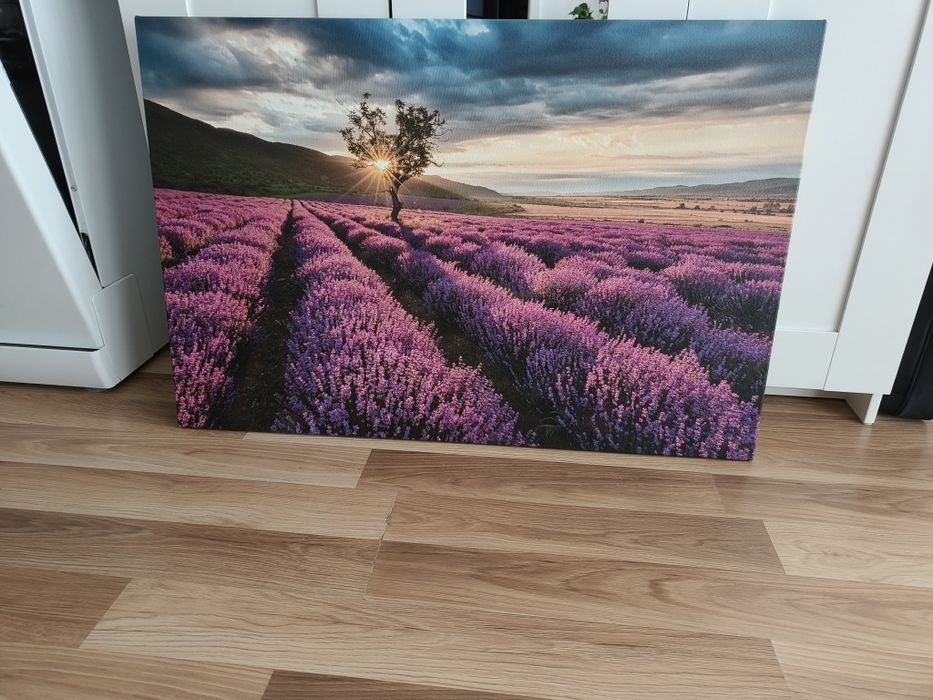 Obraz na płótnie 90 x 60 cm