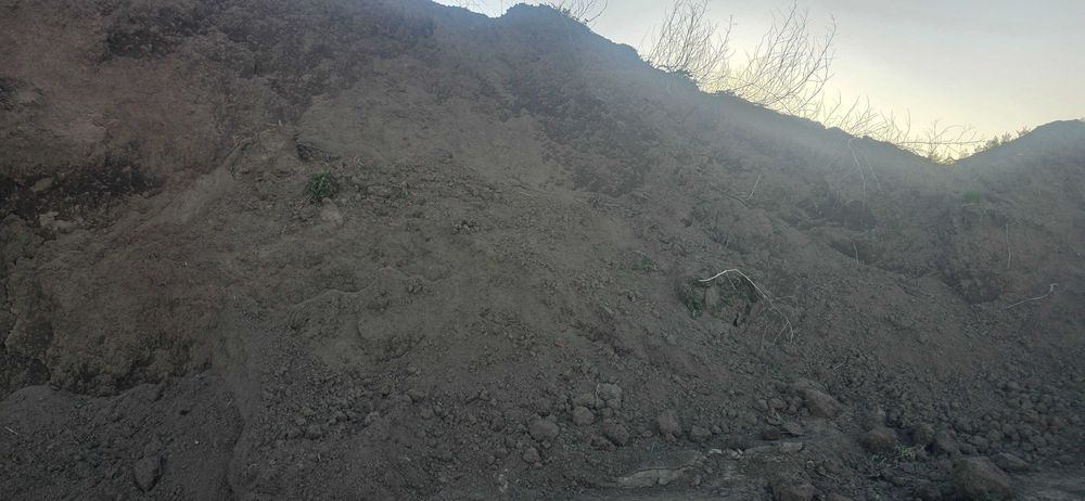 Humus siany pod trawniki, ziemia do ogrodu