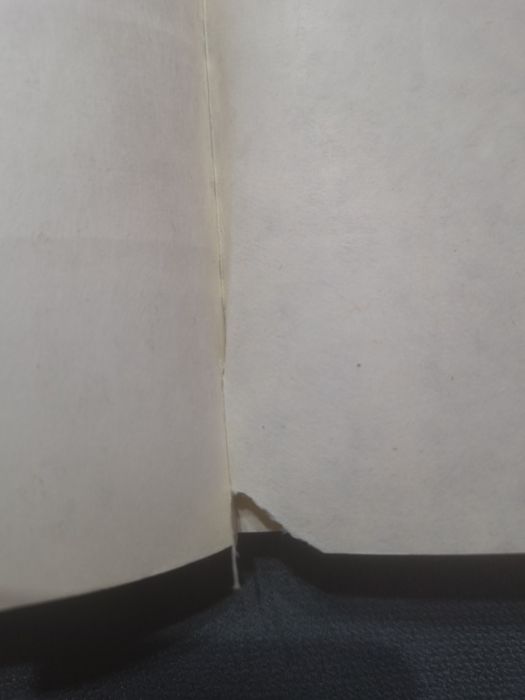 "Dziennik" Witold Gombrowicz, drugi obieg