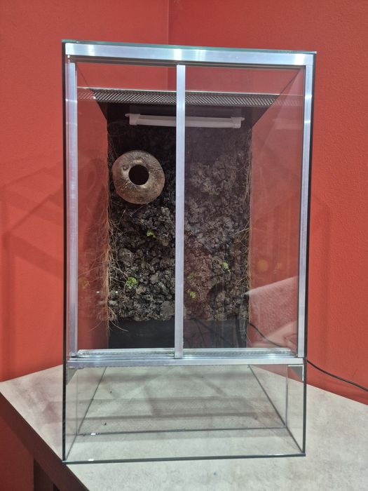 Terrarium 30x30x50 używane