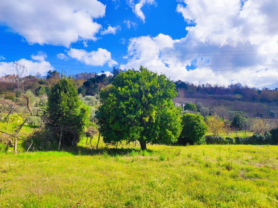 Quinta 7400m2 em Resende com vista para Rio Douro
