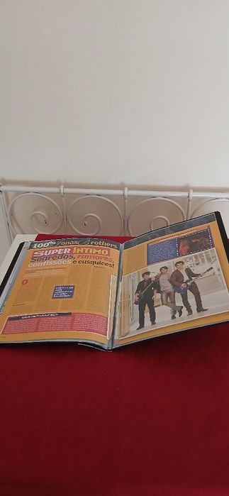 Dossier Jonas Brothers, novo