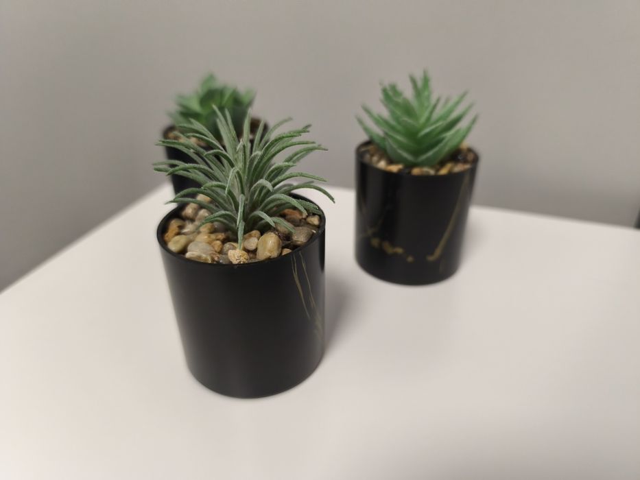Conjunto de 3 Pequenos Cactos - Decoração Premium Preto / / Dourado