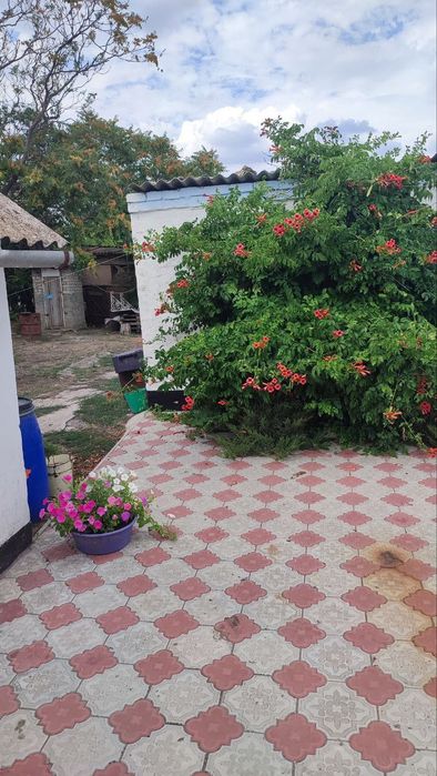 продається будинок