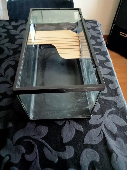 Tartarugario 40cm