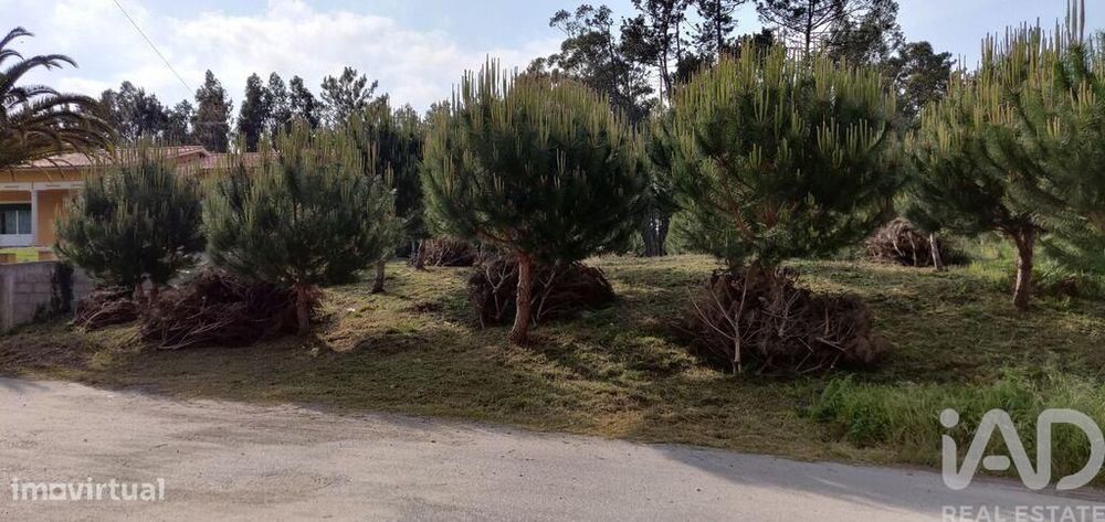 Terreno Agrícola em Monte Real e Carvide