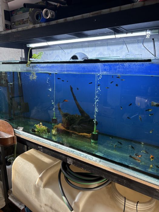 Продам Аквариум 450л