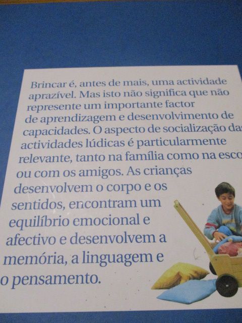 Livro- Guia para pais- Jogos e Atividades