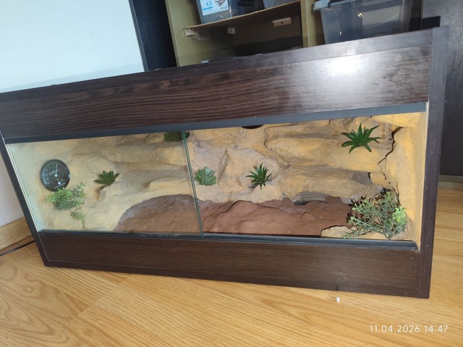 Terrarium pustynne 80x40x40