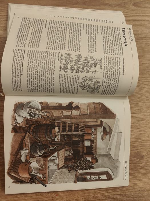Livro autosuficiencia John seymor