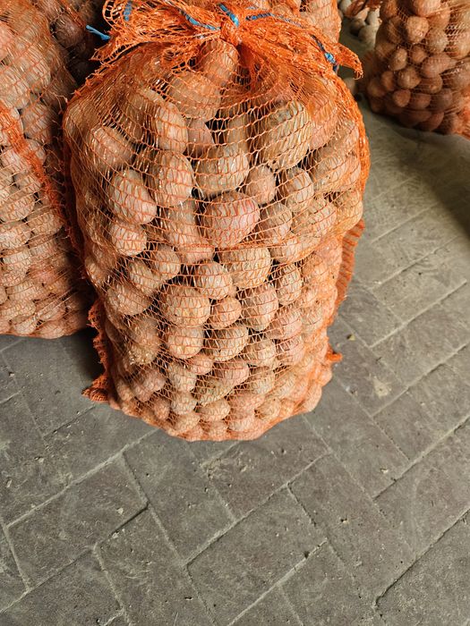 Ziemniaki odpadowe (paszowe)