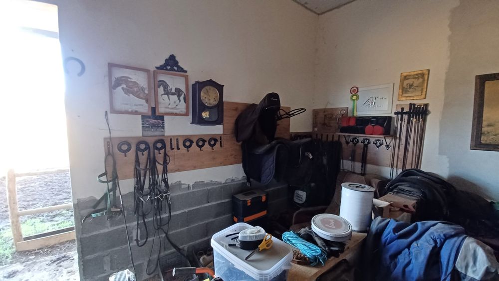 5.000 m2 a 300m do açude em Coimbra com infraestruturas para cavalos