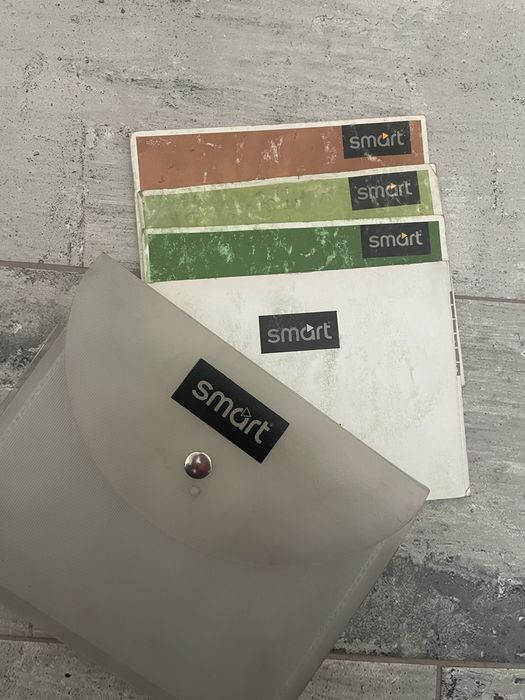 Manual utilizador smart 451