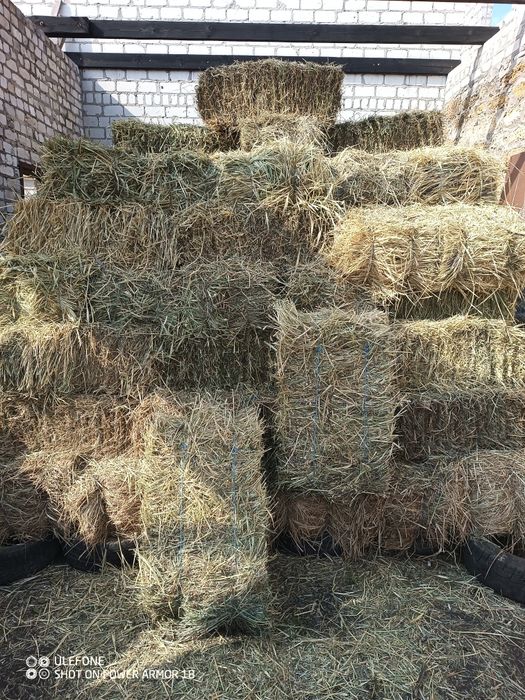 Продам сено в тюках