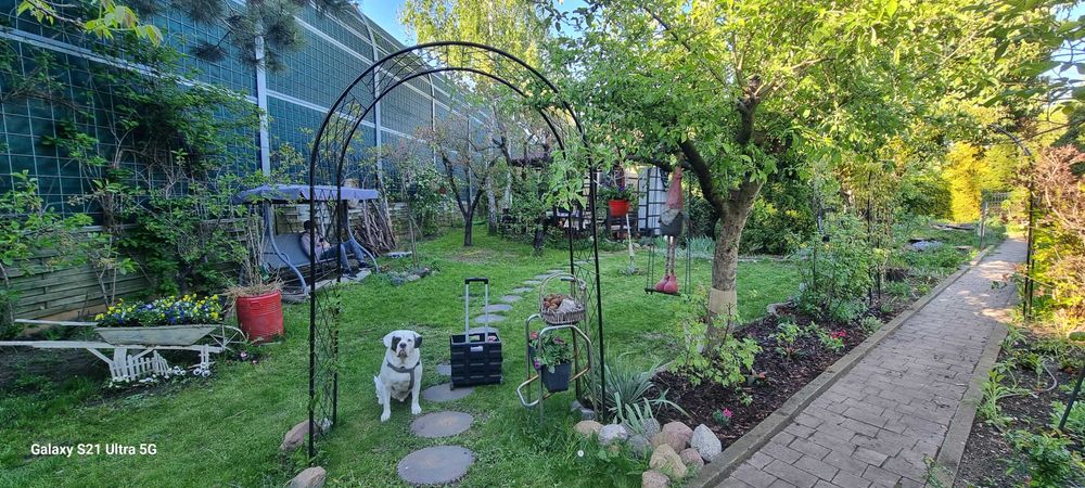 Działka ROD Malborska