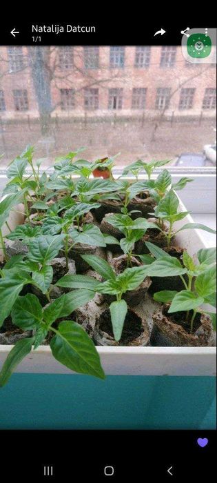 Тор`яні вироби від виробника