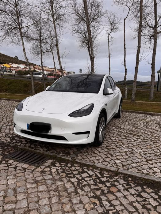 Tesla Nacional Model Y Standard RWD 2023
