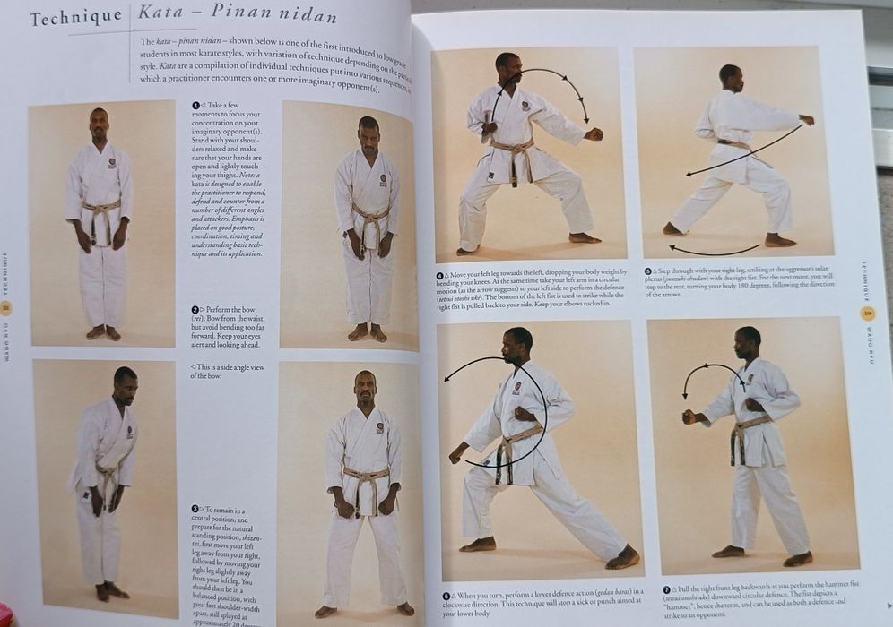 Manual prático de artes marciais "The Ultimate Book of Martial Arts"