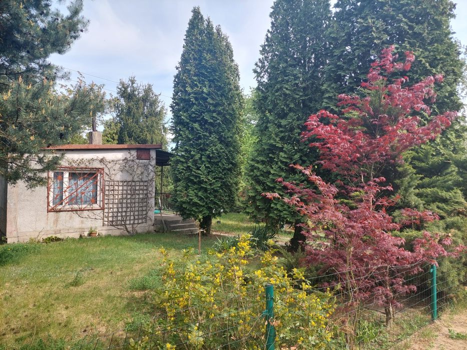 Sprzedam ogródek  dzialkowy
