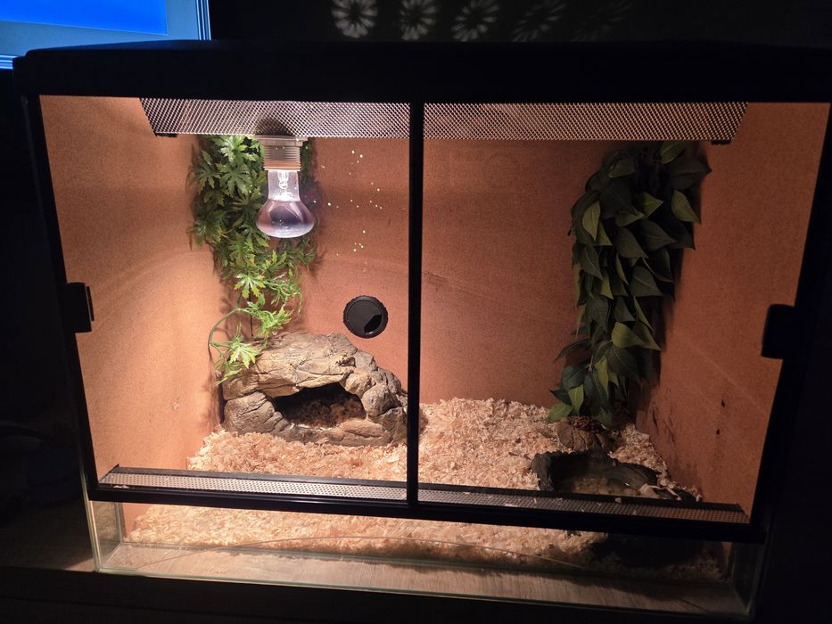 Terrarium akwarystyczne