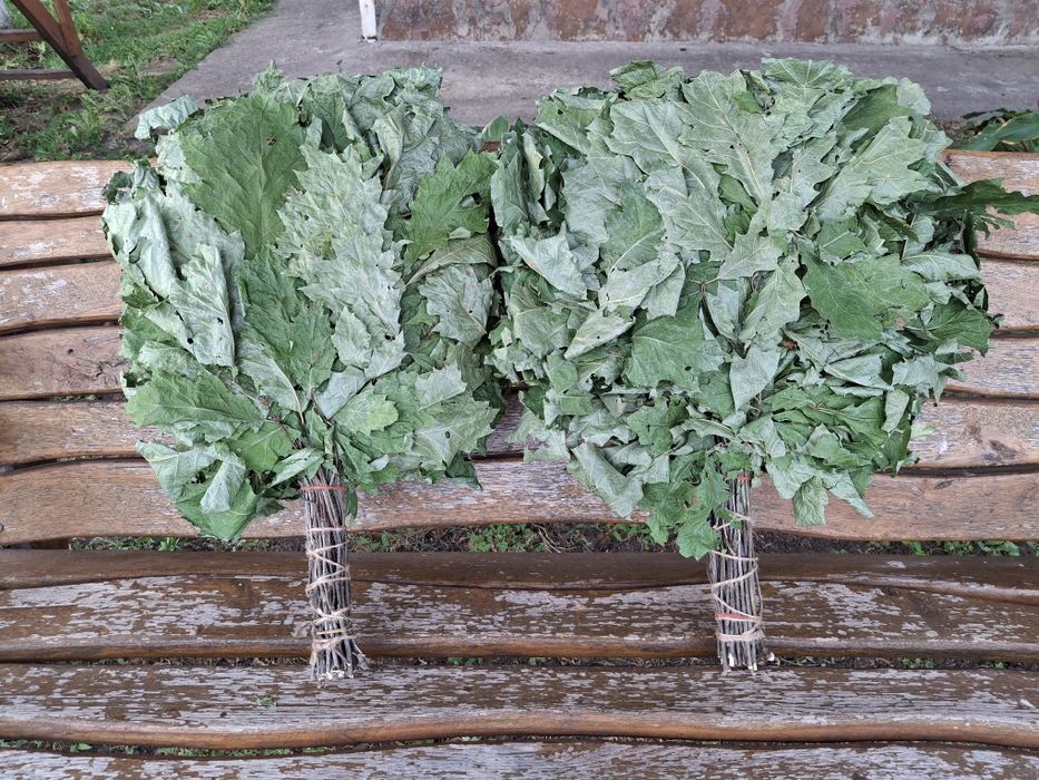 Віники в сауну березові дубові євкаліпт лавада травяні для запаха мята