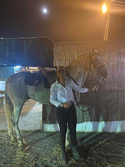 Cavalo Puro Lusitano