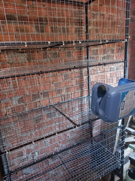 клетка для бройлеров перепелов.