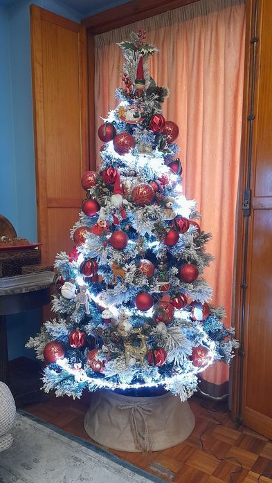 Árvore de Natal (sem decorações)