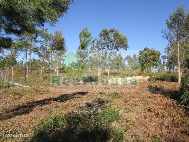 Terreno Para Construção Junto a Coimbra