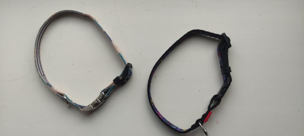 Намордник и ошейник