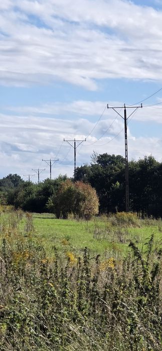 Pilarz - pracownik gospodarczy