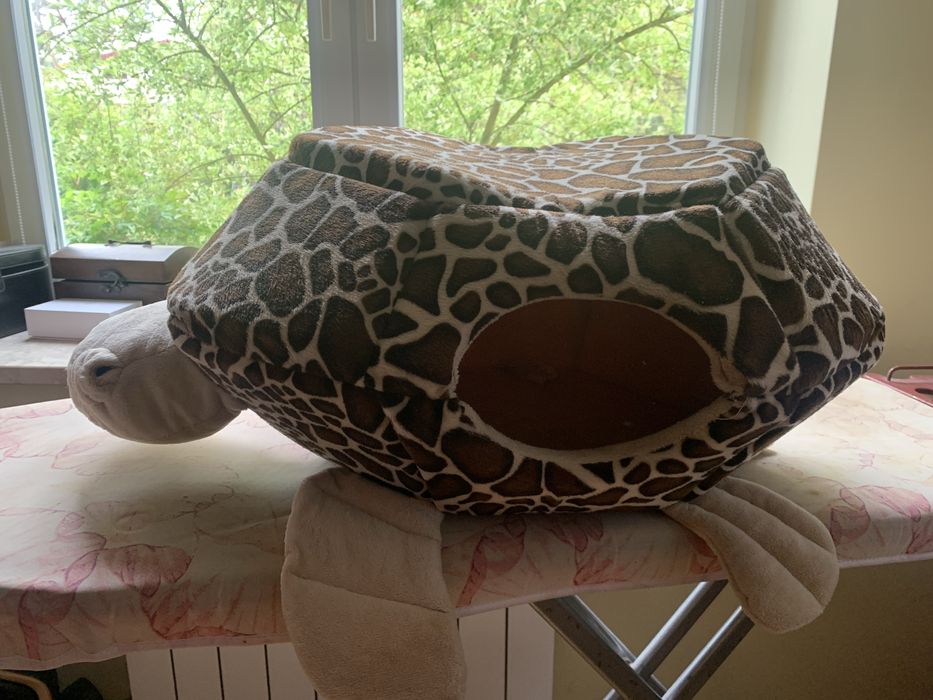 Domek kotu Żółwik