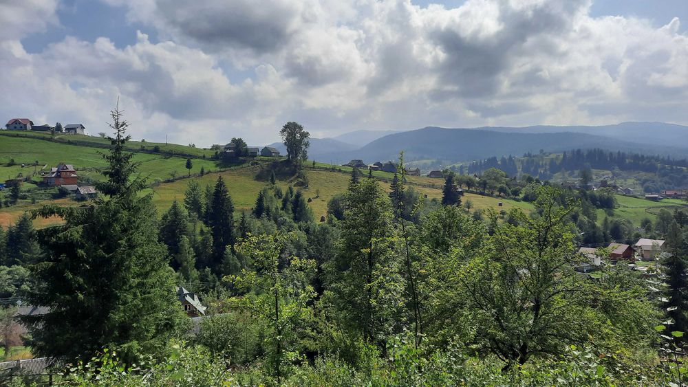 Дві ділянки 31 сотка, та пів хати. Ліс, річка. Світ, криниця, асфальт