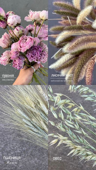 Дідухи. Набір для дідухів. Злаки та сухоцвіти для дідухів