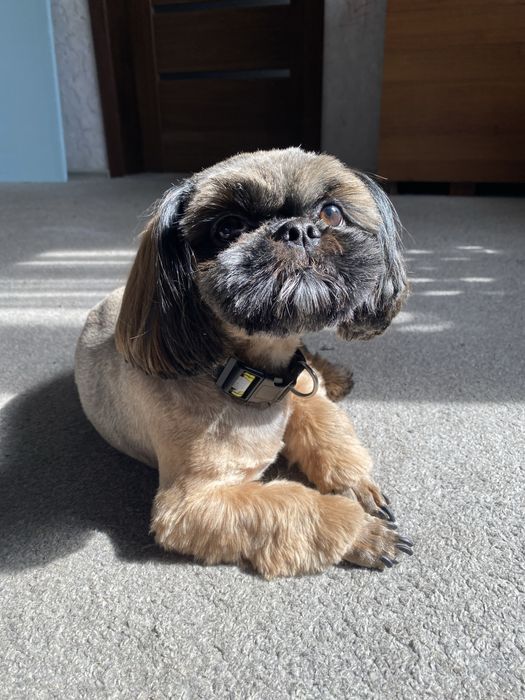 Активний наречений чекає свою даму серця