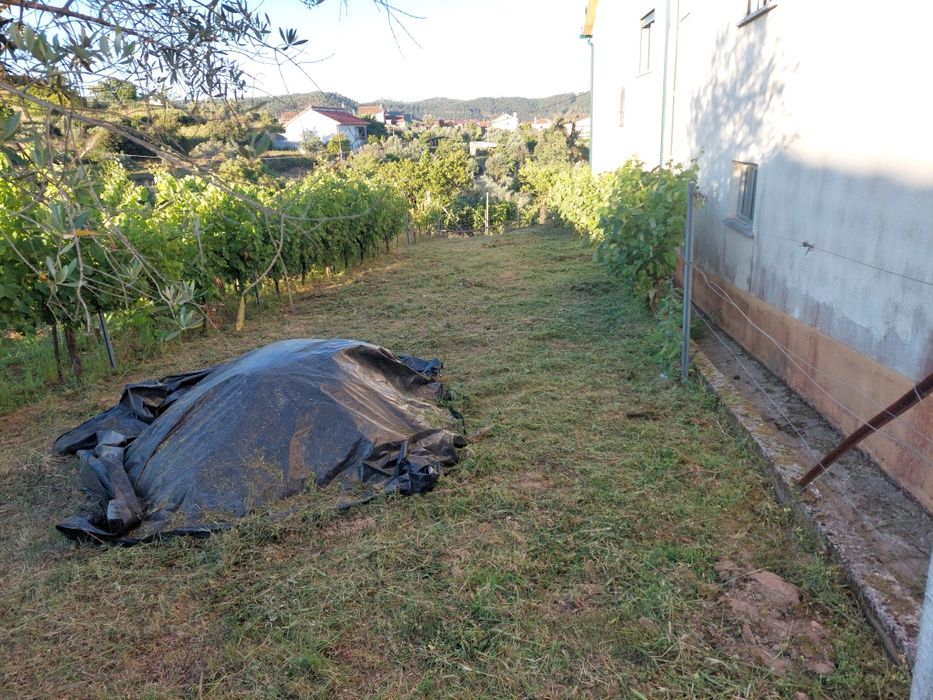 Limpeza de terrenos